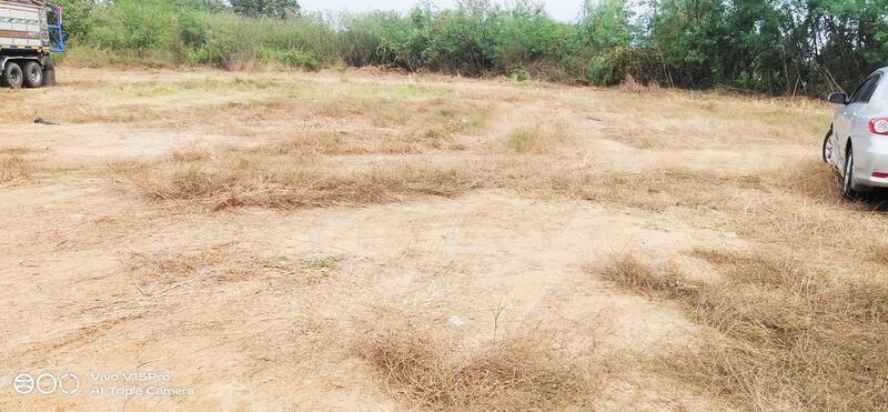 ขาย - ที่ดินหนองไผ่ เพชรบูรณ์, เพชรบูรณ์