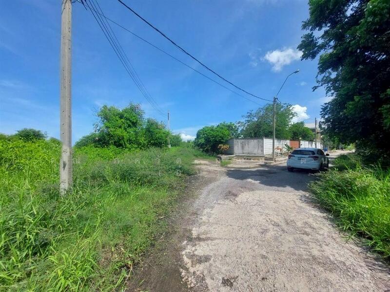 ขาย - ที่ดินเปล่า 90 ตร.ว. ที่ดิน หมู่บ้านเมืองเอก บางปู, สมุทรปราการ