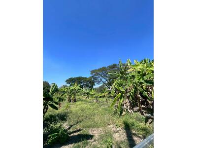 ขาย - ที่ดินเชียงใหม่, เชียงใหม่