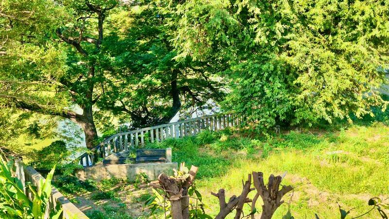 ขาย - ขายที่ดิน 1-2-31 ไร่ ริมแม่น้ำป่าสัก อ.เมือง สระบุรี ตั้งอยู่ในทำเลศักยภาพสูงในจังหวัดสระบุรี, สระบุรี