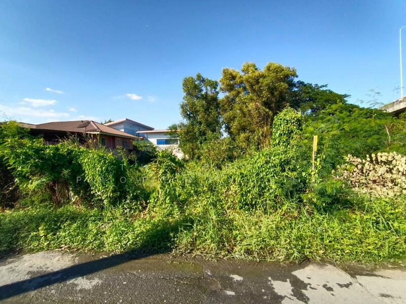 ที่ดินบ้านใหม่ ปทุมธานี, ปทุมธานี, บ้านใหม่, เมืองปทุมธานี, ปทุมธานี, 308 ตร.ม., ที่ดิน ขาย, โดย The Best Property นาฏ, 500073517 - DDproperty.com