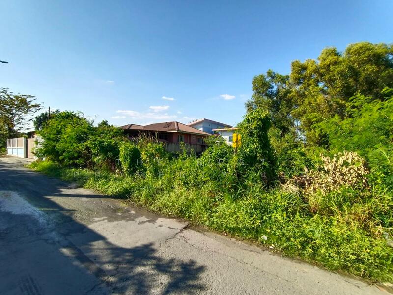 ที่ดินบ้านใหม่ ปทุมธานี, ปทุมธานี, บ้านใหม่, เมืองปทุมธานี, ปทุมธานี, 308 ตร.ม., ที่ดิน ขาย, โดย The Best Property นาฏ, 500073517 - DDproperty.com