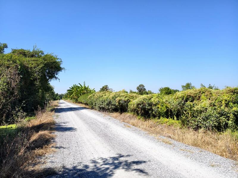 Land for sale in Chalong Krung 54, Lat Krabang area, near ICD and Chaokhun Thahan Lat Krabang., Bangkok, ถนนฉลองกรุง54, Lam Pla Tiew, Lat Krabang, Bangkok, , 11,364 sqm, Land For Sale, by นัชชา กำลังเหลือ, 500073682 - DDproperty.com