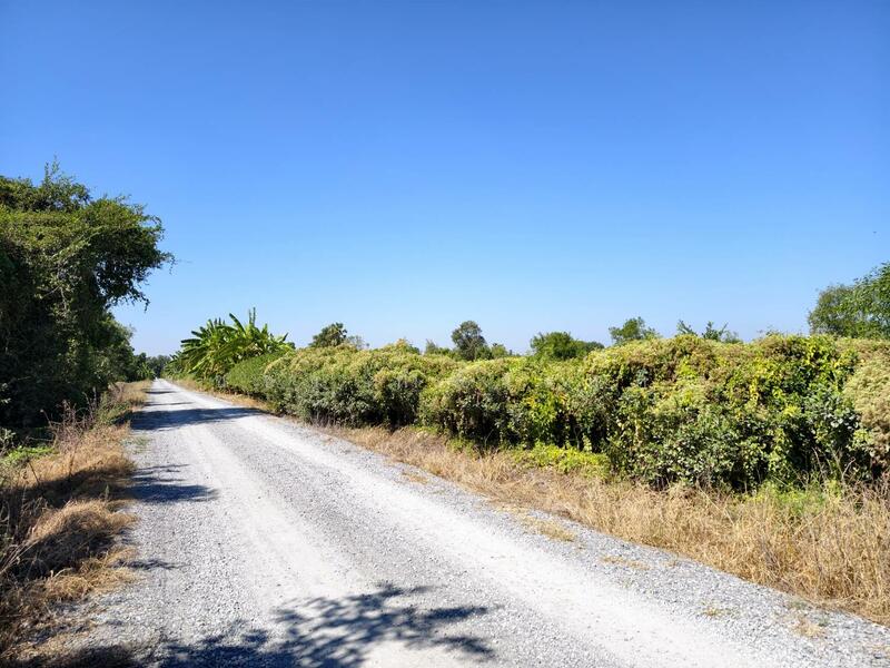 Land for sale in Chalong Krung 54, Lat Krabang area, near ICD and Chaokhun Thahan Lat Krabang., Bangkok, ถนนฉลองกรุง54, Lam Pla Tiew, Lat Krabang, Bangkok, , 11,364 sqm, Land For Sale, by นัชชา กำลังเหลือ, 500073682 - DDproperty.com