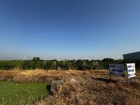 ขาย - ที่ดินอำเภอบางพลี ใกล้คลองส่งน้ำ พื้นที่สีม่วง, สมุทรปราการ