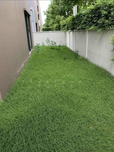 ให้เช่า - Baan Klang Muang Ratchapruek : บ้านกลางเมือง ราชพฤกษ์, นนทบุรี