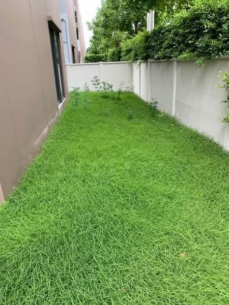 Baan Klang Muang Ratchapruek, Nonthaburi, Soi Bang Kruai - Jong Thanom, Ratchaphruek Road, Mahasawat, Bang Kruai, Nonthaburi, 3 Bedrooms, 160 sqm, Townhouse For Rent, by ปรินทร์ญาดา ชิณโชติ, 500073858 - DDproperty.com