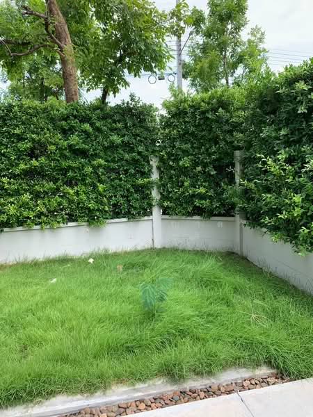 Baan Klang Muang Ratchapruek, Nonthaburi, Soi Bang Kruai - Jong Thanom, Ratchaphruek Road, Mahasawat, Bang Kruai, Nonthaburi, 3 Bedrooms, 160 sqm, Townhouse For Rent, by ปรินทร์ญาดา ชิณโชติ, 500073858 - DDproperty.com