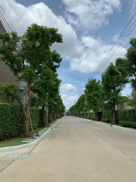 Baan Klang Muang Ratchapruek, Nonthaburi, Soi Bang Kruai - Jong Thanom, Ratchaphruek Road, Mahasawat, Bang Kruai, Nonthaburi, 3 Bedrooms, 160 sqm, Townhouse For Rent, by ปรินทร์ญาดา ชิณโชติ, 500073858 - DDproperty.com