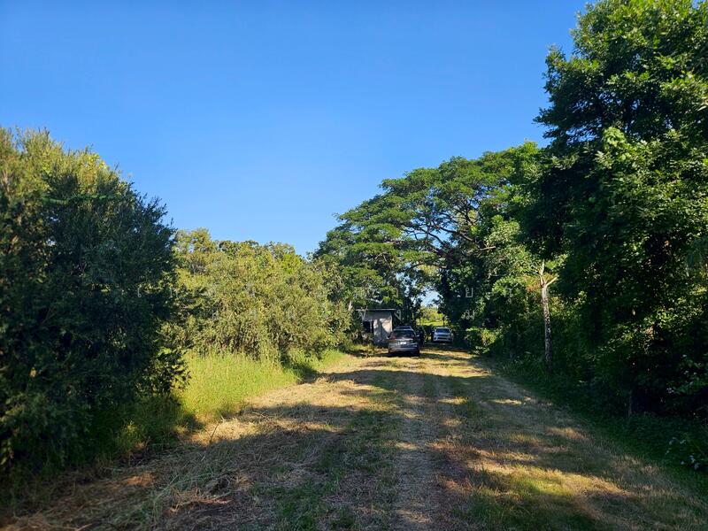 ให้เช่า - ให้เช่าที่ดินผืนงาม 16 ไร่ วิวสนามกอล์ฟลำลูกกาคันทรี่คลับ หน้ากว้างประมาณ 280 ม. ล้อมรั้วแข็งแรงรอบด, ปทุมธานี