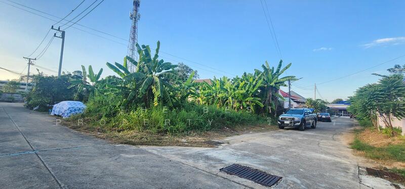 ขาย - บ้านเดี่ยวตะพานหิน พิจิตร, พิจิตร