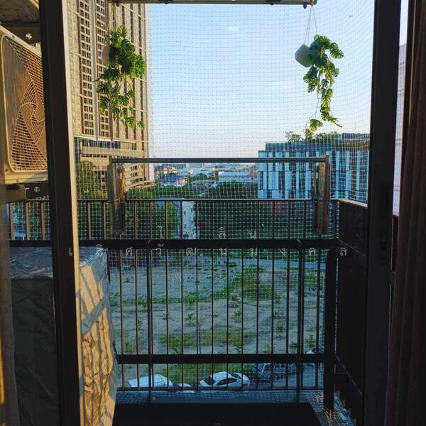 ให้เช่า - เดคโค่ คอนโด สุขุมวิท 70/5 (Deco Condominium Sukhumvit 70/5), กรุงเทพ