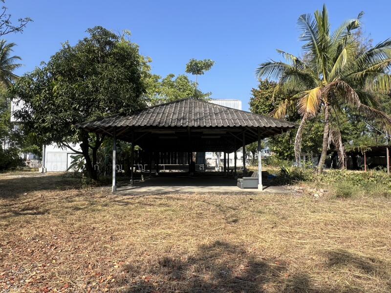 ให้เช่า - คีบมันส์ Funtopia, เชียงใหม่