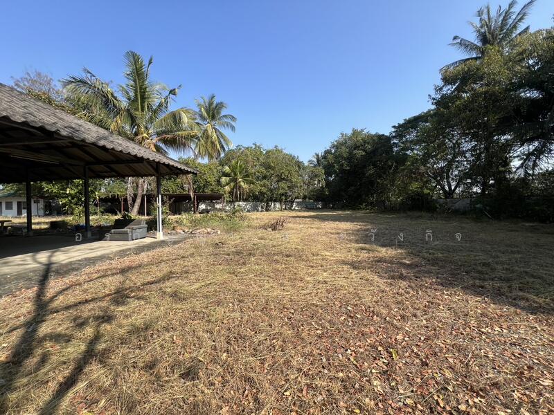 ให้เช่า - คีบมันส์ Funtopia, เชียงใหม่