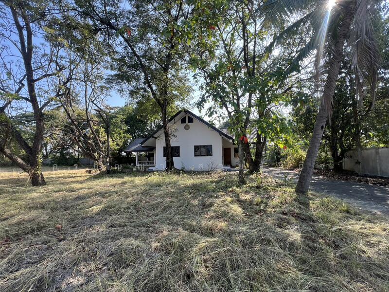 ให้เช่า - คีบมันส์ Funtopia, เชียงใหม่