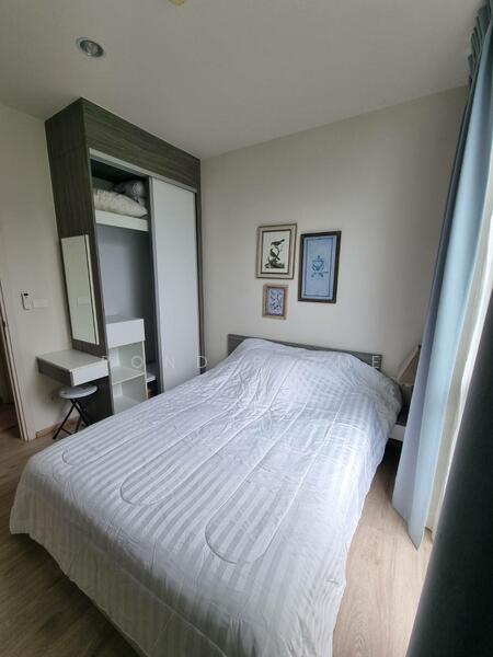 The Base Downtown, Phuket, Wichit Songkhram, Wichit, Muang Phuket, Phuket, 2 Bedrooms, 55 sqm, Condo For Rent, by pond prime, 500075965 - DDproperty.com