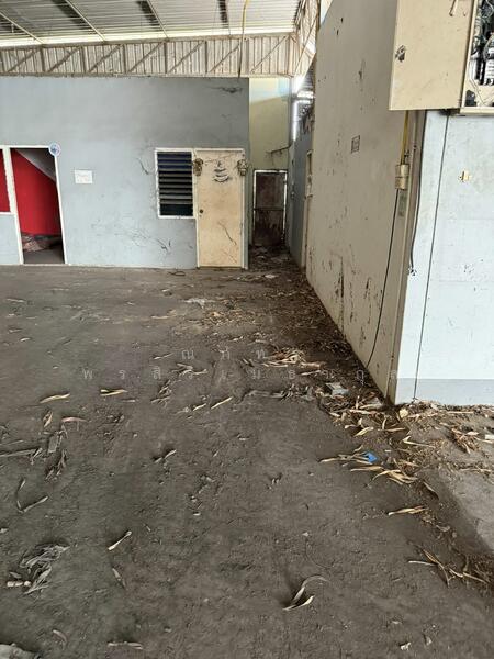 ให้เช่า - คลองหลวง คลองหนึ่ง ปทุมธานี, ปทุมธานี