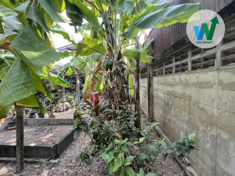 For Sale - Land At Nakhon 1 In Suan Yai Mueang Nonthaburi, Nonthaburi