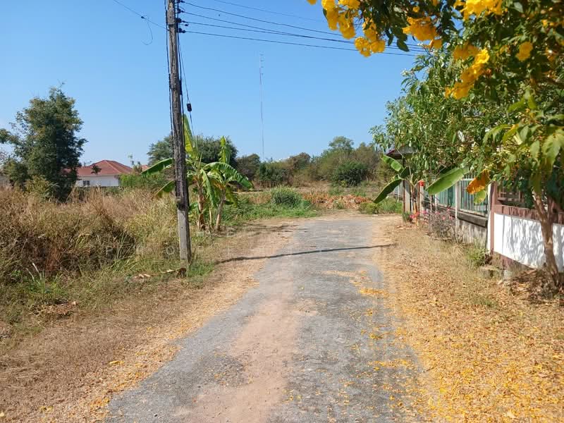 บ้านเดี่ยวมะเริง นครราชสีมา, Nakhon Ratchasima, Ma Roeng, Muang Nakhon Ratchasima, Nakhon Ratchasima, 3 Bedrooms, 100 sqm, Single Detached House For Sale, by The Best Property นนท์, 500076496 - DDproperty.com