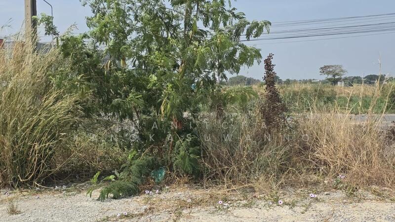 ที่ดินรัตนโกสินทร์ 200 ปี สมุทรปราการ, Samut Prakan, Bang Bo, Bang Bo, Samut Prakan, , 7,852 sqm, Land For Sale, by Thanitcha Kangkasuwanno, 500076564 - DDproperty.com