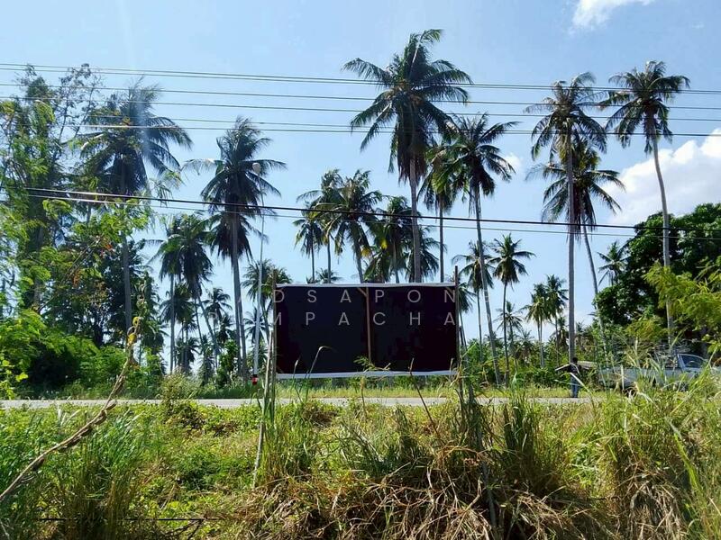 ขาย - ขายด่วน! ที่ดินทำเลทอง ติดถนนใหญ่ ทับสะแก-หาดวนกร 12 ไร่เศษ เหมาะพัฒนาโครงการและเก็งกำไร, ประจวบคีรีขันธ์