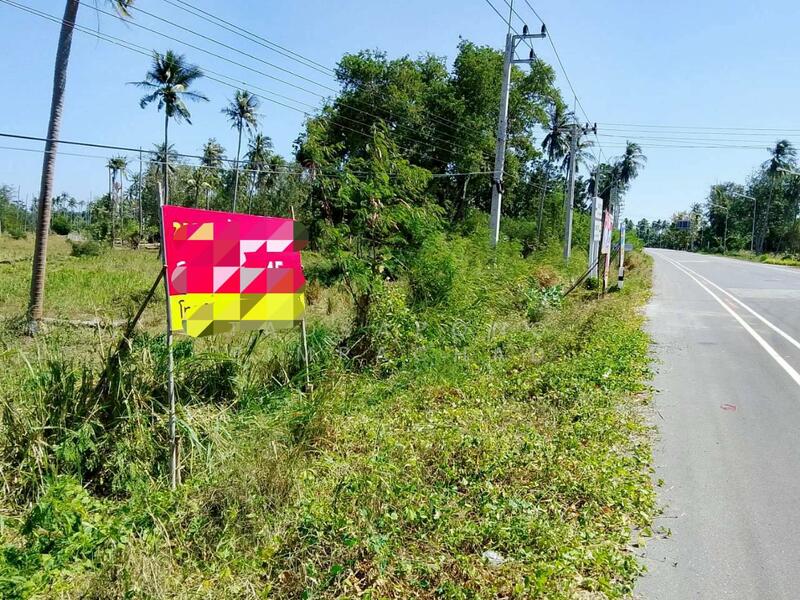 ขาย - ขายด่วน! ที่ดินทำเลทอง ติดถนนใหญ่ ทับสะแก-หาดวนกร 12 ไร่เศษ เหมาะพัฒนาโครงการและเก็งกำไร, ประจวบคีรีขันธ์