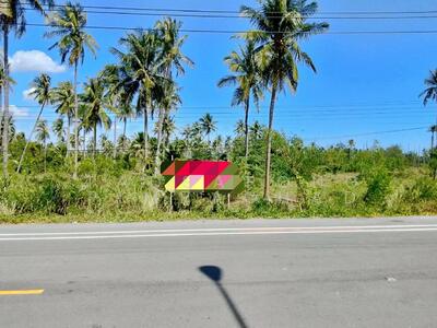ขาย - ขายด่วน! ที่ดินทำเลทอง ติดถนนใหญ่ ทับสะแก-หาดวนกร 12 ไร่เศษ เหมาะพัฒนาโครงการและเก็งกำไร, ประจวบคีรีขันธ์