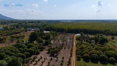 ขาย - ขายที่ดินเปล่า, พิษณุโลก