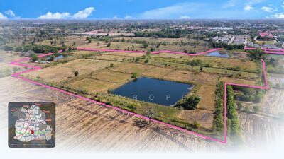 ขาย - เมืองสุรินทร์, สุรินทร์