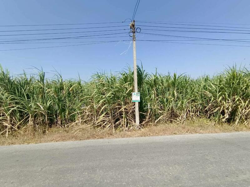 ขาย ที่ดินแปลงใหญ่ ติดถนนลาดยาง ต.วังขนาย อ.ท่าม่วง จ.กาญจนบุรี, กาญจนบุรี, วังขนาย, ท่าม่วง, กาญจนบุรี, 24,928 ตร.ม., ที่ดิน ขาย, โดย ชญาพิชชา พันธกิจ, 500078199 - DDproperty.com