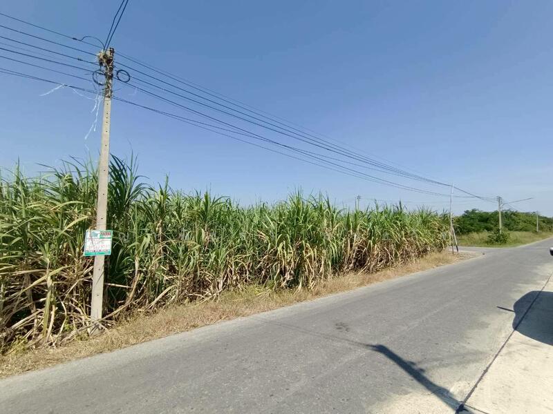 ขาย ที่ดินแปลงใหญ่ ติดถนนลาดยาง ต.วังขนาย อ.ท่าม่วง จ.กาญจนบุรี, กาญจนบุรี, วังขนาย, ท่าม่วง, กาญจนบุรี, 24,928 ตร.ม., ที่ดิน ขาย, โดย ชญาพิชชา พันธกิจ, 500078199 - DDproperty.com