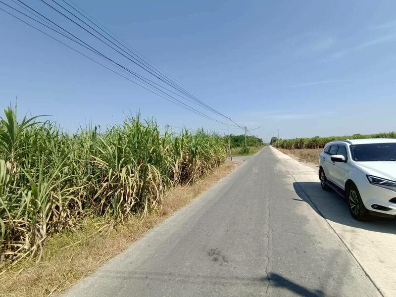 ขาย ที่ดินแปลงใหญ่ ติดถนนลาดยาง ต.วังขนาย อ.ท่าม่วง จ.กาญจนบุรี, กาญจนบุรี, วังขนาย, ท่าม่วง, กาญจนบุรี, 24,928 ตร.ม., ที่ดิน ขาย, โดย ชญาพิชชา พันธกิจ, 500078199 - DDproperty.com