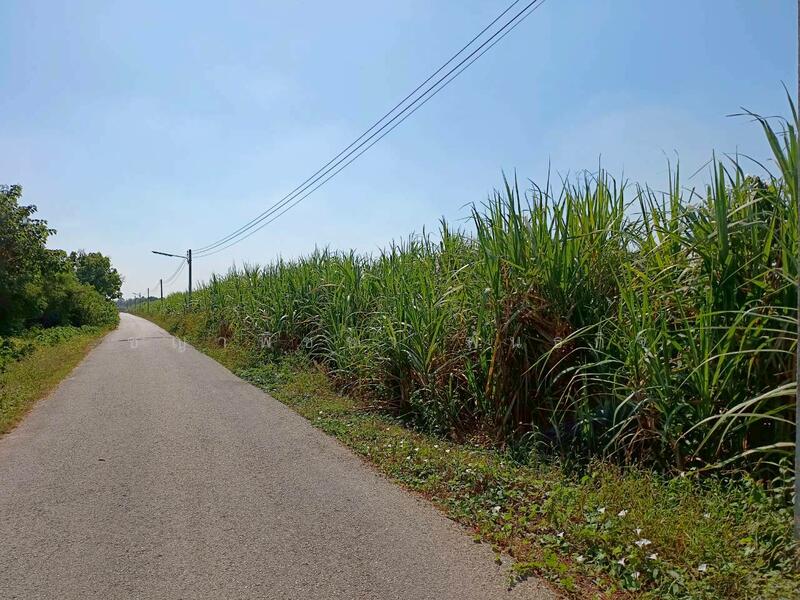 ขาย ที่ดินแปลงใหญ่ ติดถนนลาดยาง ต.วังขนาย อ.ท่าม่วง จ.กาญจนบุรี, กาญจนบุรี, วังขนาย, ท่าม่วง, กาญจนบุรี, 24,928 ตร.ม., ที่ดิน ขาย, โดย ชญาพิชชา พันธกิจ, 500078199 - DDproperty.com