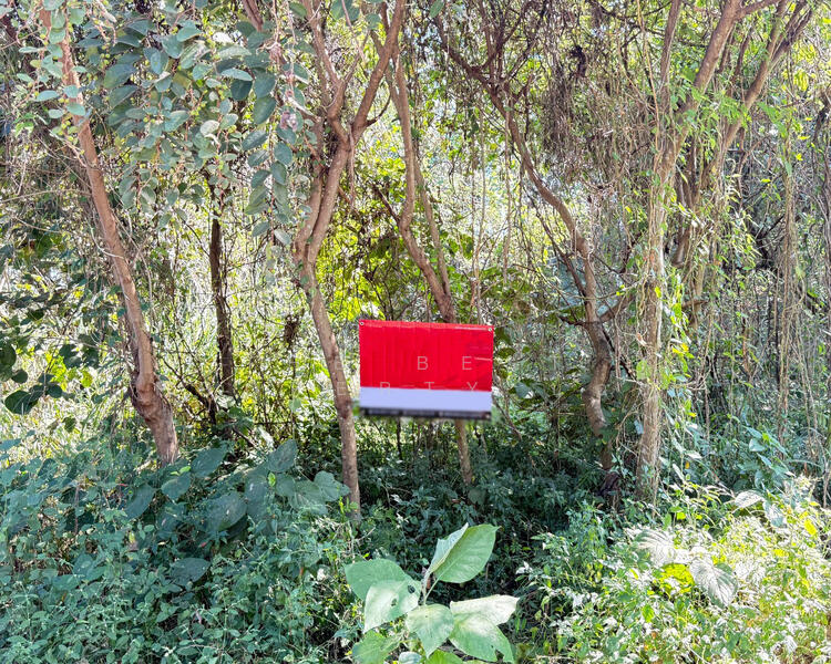 ขาย - ที่ดินสันป่าตอง เชียงใหม่, เชียงใหม่