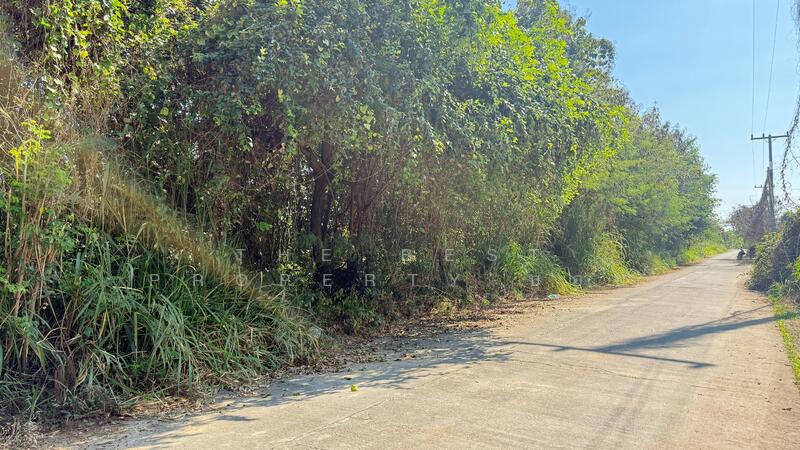 ขาย - ที่ดินสันป่าตอง เชียงใหม่, เชียงใหม่