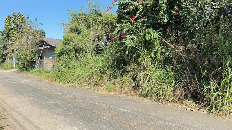 ขาย - ที่ดินสันป่าตอง เชียงใหม่, เชียงใหม่