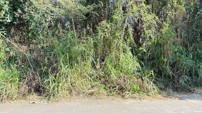 ขาย - ที่ดินสันป่าตอง เชียงใหม่, เชียงใหม่