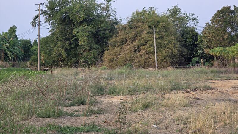 L26896 ที่ดินเปล่าเลียบคลองมอญ กรุงเทพมหานคร, กรุงเทพ, ทับยาว, ลาดกระบัง, กรุงเทพ, 3,760 ตร.ม., ที่ดิน ให้เช่า, โดย Thanitcha Kangkasuwanno, 500078594 - DDproperty.com