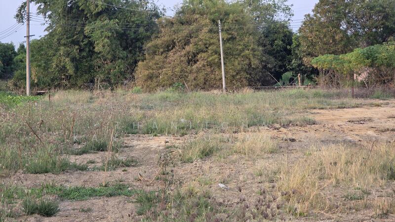 L26896 ที่ดินเปล่าเลียบคลองมอญ กรุงเทพมหานคร, กรุงเทพ, ทับยาว, ลาดกระบัง, กรุงเทพ, 3,760 ตร.ม., ที่ดิน ให้เช่า, โดย Thanitcha Kangkasuwanno, 500078594 - DDproperty.com