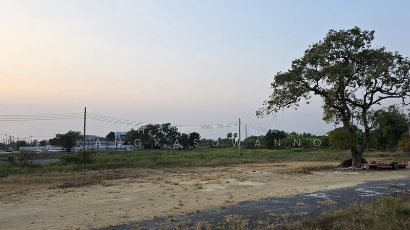 L26896 ที่ดินเปล่าเลียบคลองมอญ กรุงเทพมหานคร, กรุงเทพ, ทับยาว, ลาดกระบัง, กรุงเทพ, 3,760 ตร.ม., ที่ดิน ให้เช่า, โดย Thanitcha Kangkasuwanno, 500078594 - DDproperty.com