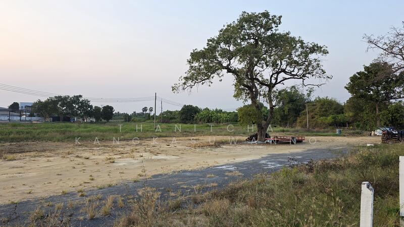 L26896 ที่ดินเปล่าเลียบคลองมอญ กรุงเทพมหานคร, Bangkok, Thab Yao, Lat Krabang, Bangkok, , 3,760 sqm, Land For Rent, by Thanitcha Kangkasuwanno, 500078594 - DDproperty.com