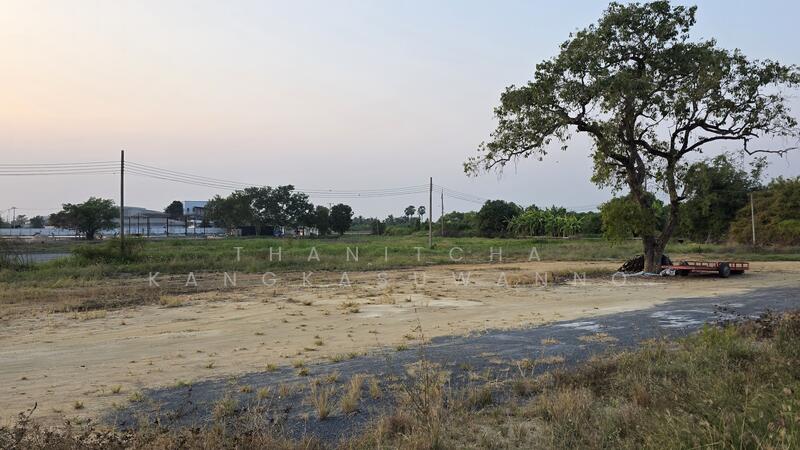 L26896 ที่ดินเปล่าเลียบคลองมอญ กรุงเทพมหานคร, Bangkok, Thab Yao, Lat Krabang, Bangkok, , 3,760 sqm, Land For Rent, by Thanitcha Kangkasuwanno, 500078594 - DDproperty.com