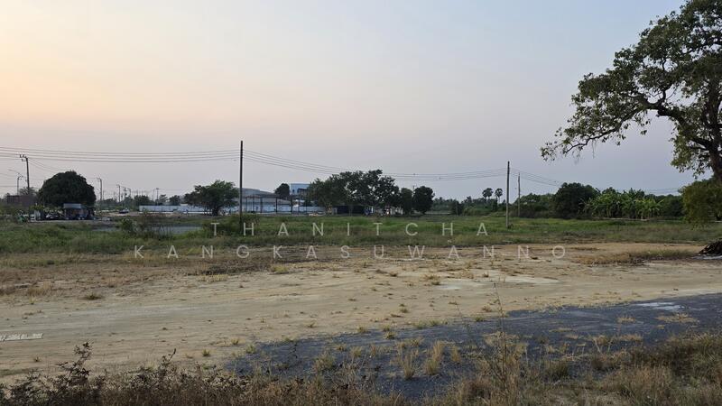 L26896 ที่ดินเปล่าเลียบคลองมอญ กรุงเทพมหานคร, Bangkok, Thab Yao, Lat Krabang, Bangkok, , 3,760 sqm, Land For Rent, by Thanitcha Kangkasuwanno, 500078594 - DDproperty.com