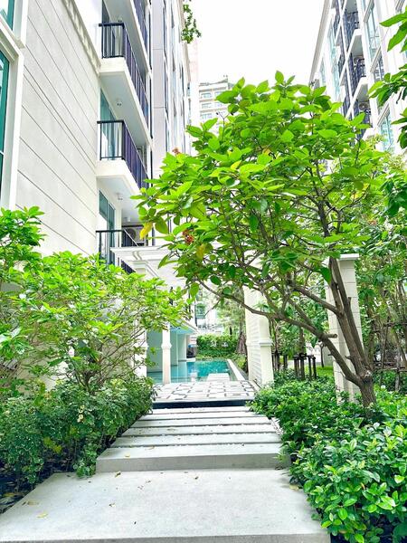 ให้เช่า - Chateau in Town Ratchayothin : ชาโตว์ อินทาวน์ รัชโยธิน, กรุงเทพ