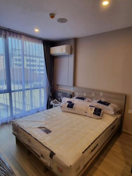 ให้เช่า - Sign Condo Sukhumvit 50 : ซายน์ คอนโด สุขุมวิท 50, กรุงเทพ
