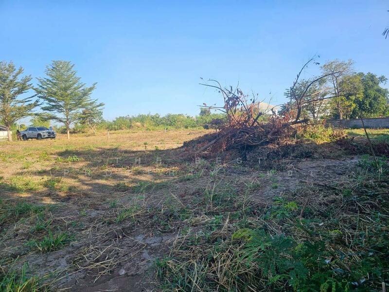 ขาย - ที่ดินบุ่งคล้า ชัยภูมิ, ชัยภูมิ