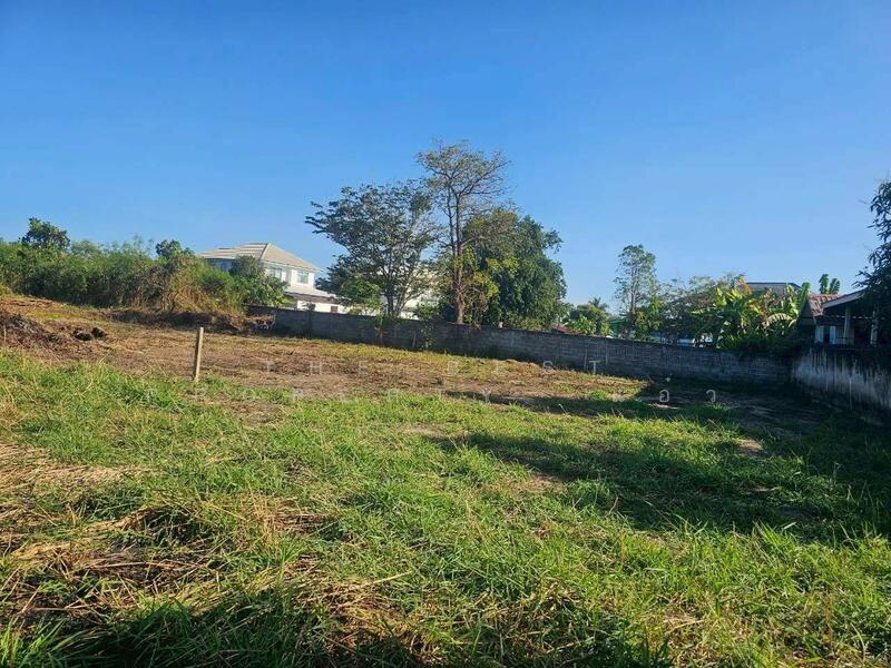 ขาย - ที่ดินบุ่งคล้า ชัยภูมิ, ชัยภูมิ