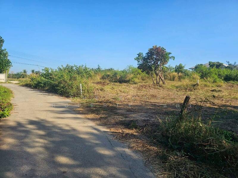 ขาย - ที่ดินบุ่งคล้า ชัยภูมิ, ชัยภูมิ