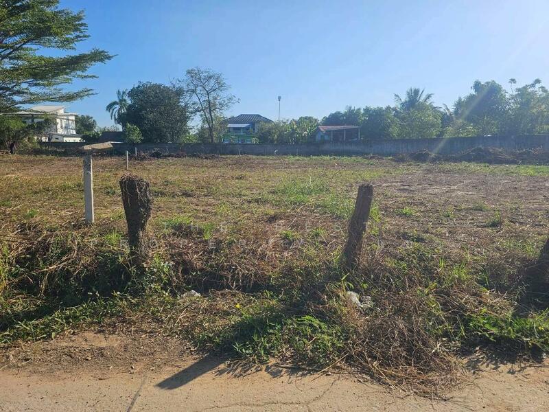 ขาย - ที่ดินบุ่งคล้า ชัยภูมิ, ชัยภูมิ