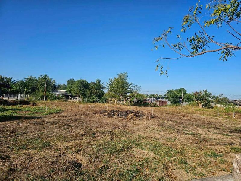 ขาย - ที่ดินบุ่งคล้า ชัยภูมิ, ชัยภูมิ